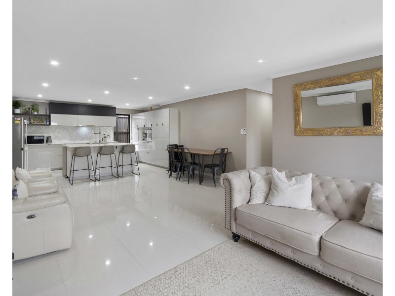 62 Radiata Street, Hillcrest QLD 4118