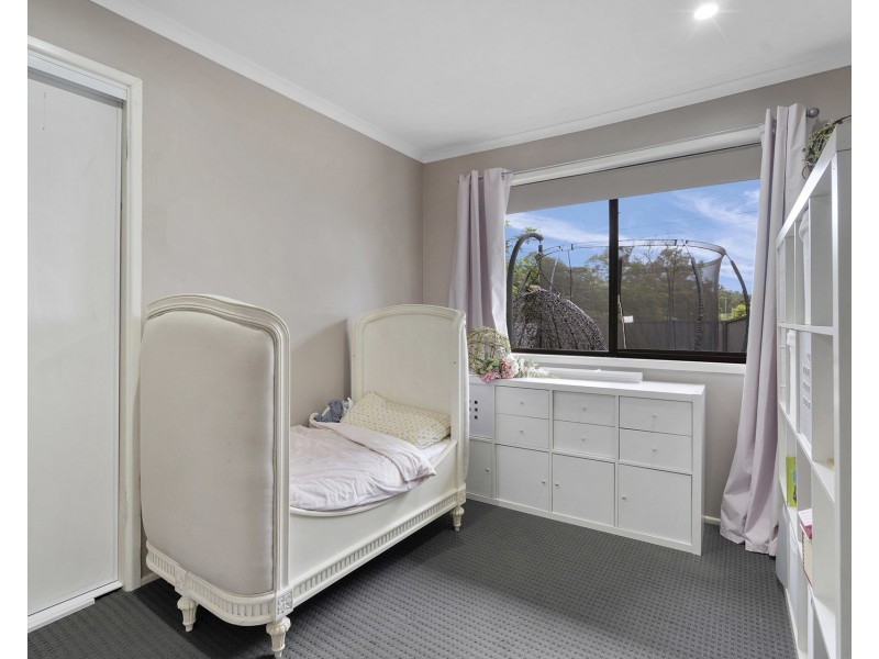 62 Radiata Street, Hillcrest QLD 4118