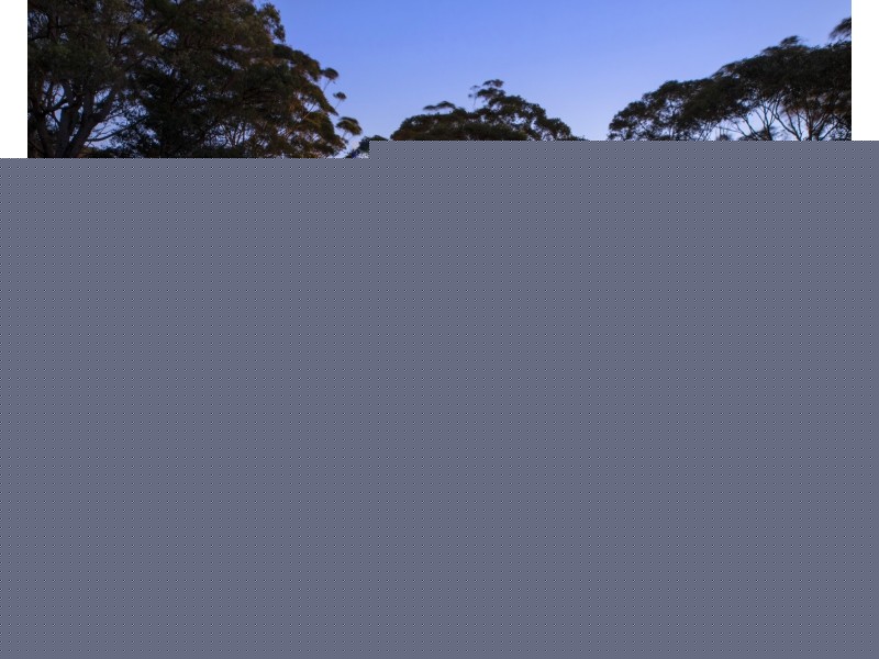 41 Hillcrest Street, Terrigal NSW 2260