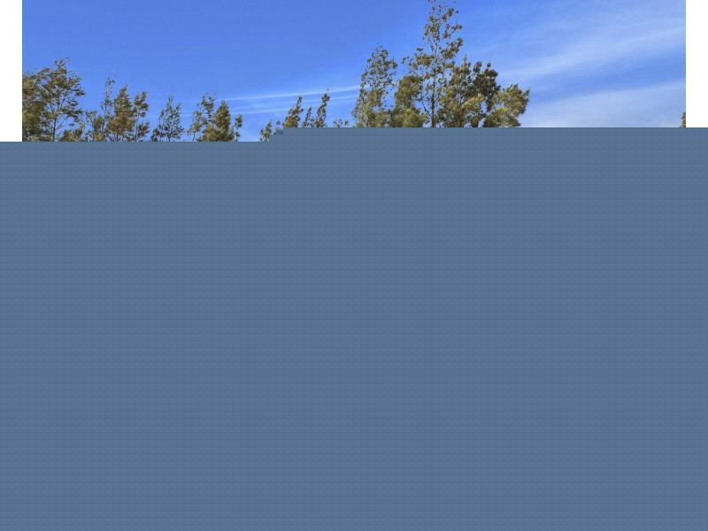 11 Eleanor Close, Hamlyn Terrace NSW 2259