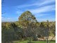 23 Longview Close, Wamberal NSW 2260