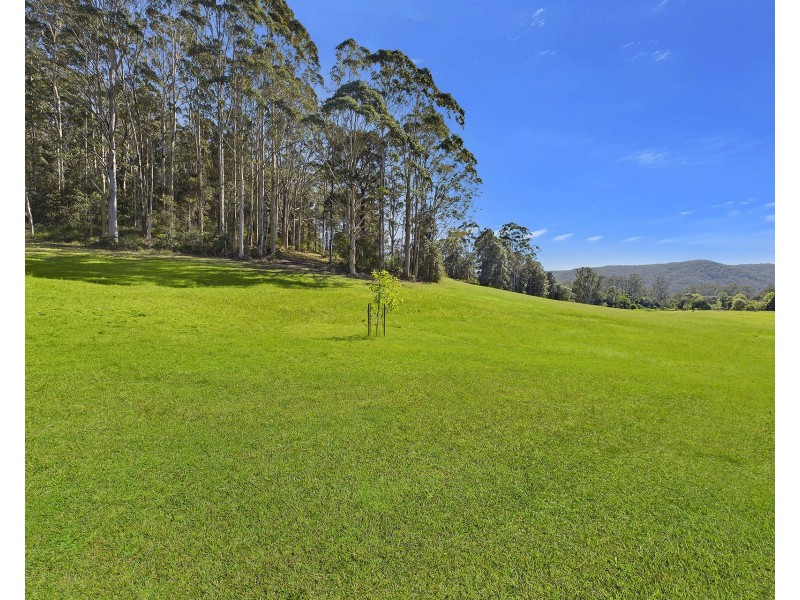 59 Chandlers Lane, Wyong Creek NSW 2259