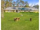 101 Pacific Highway, Mount White NSW 2250
