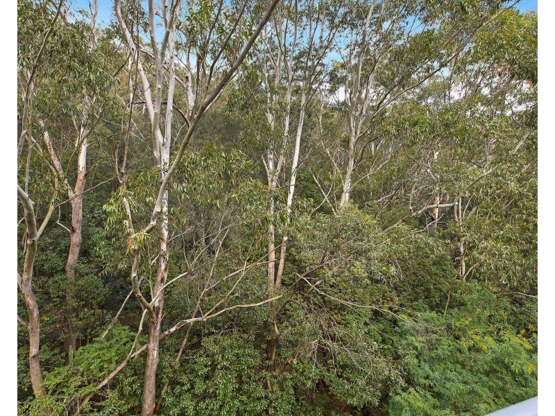 31/71-73 Faunce Street W, West Gosford NSW 2250