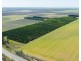 1167 Bookpurnong Road, Loxton SA 5333