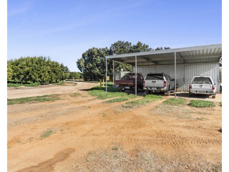 1167 Bookpurnong Road, Loxton SA 5333