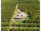 1167 Bookpurnong Road, Loxton SA 5333