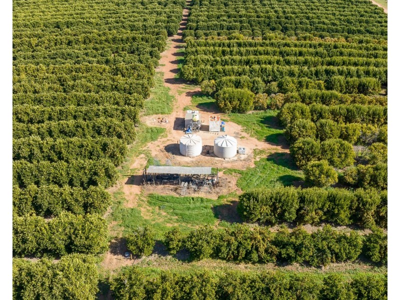 1167 Bookpurnong Road, Loxton SA 5333