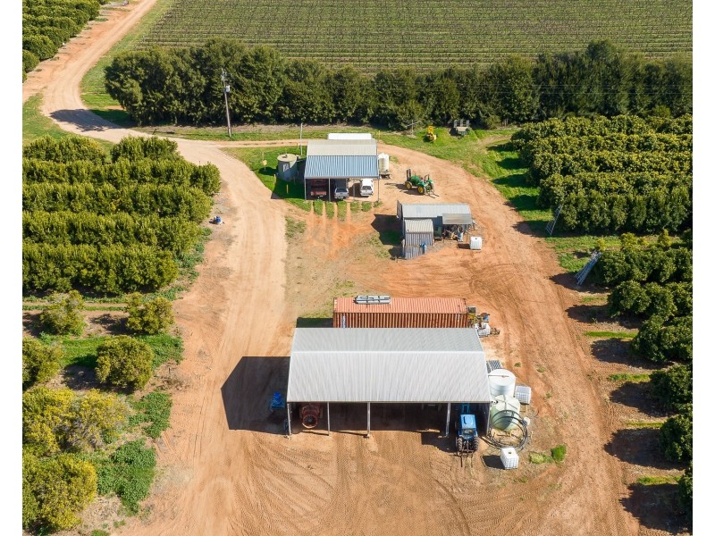 1167 Bookpurnong Road, Loxton SA 5333
