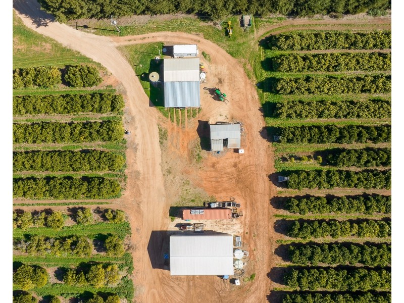 1167 Bookpurnong Road, Loxton SA 5333