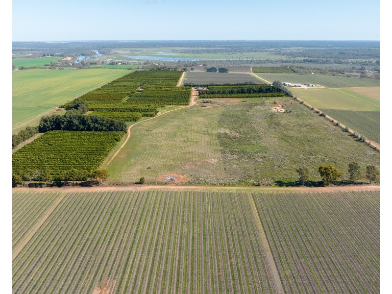 1167 Bookpurnong Road, Loxton SA 5333