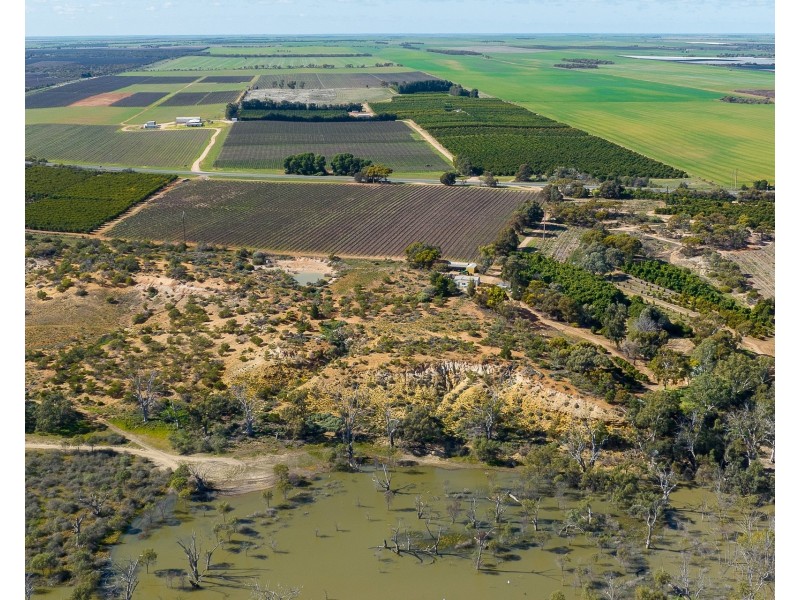 1167 Bookpurnong Road, Loxton SA 5333