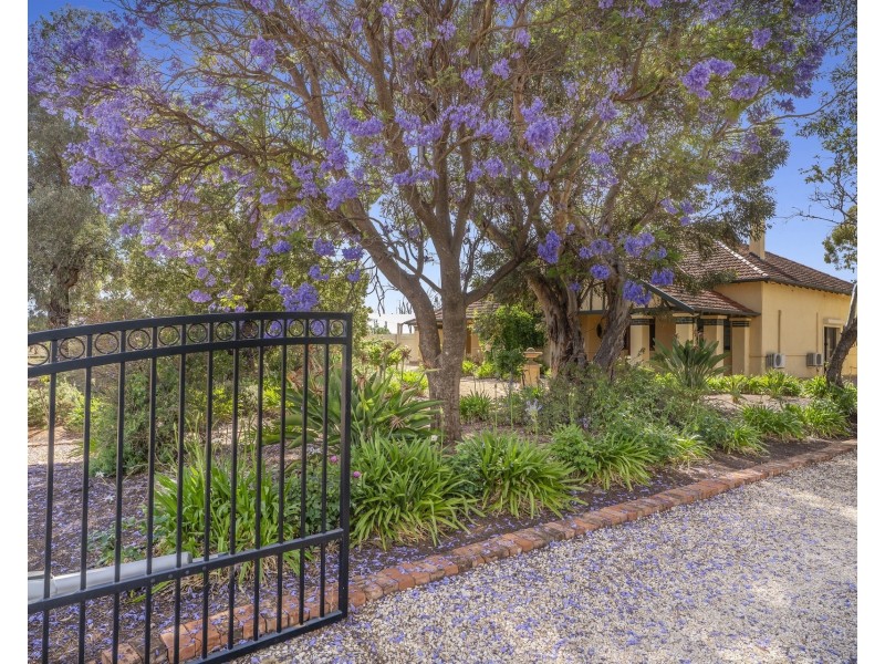 2033 Stanitzki Road, Loxton SA 5333