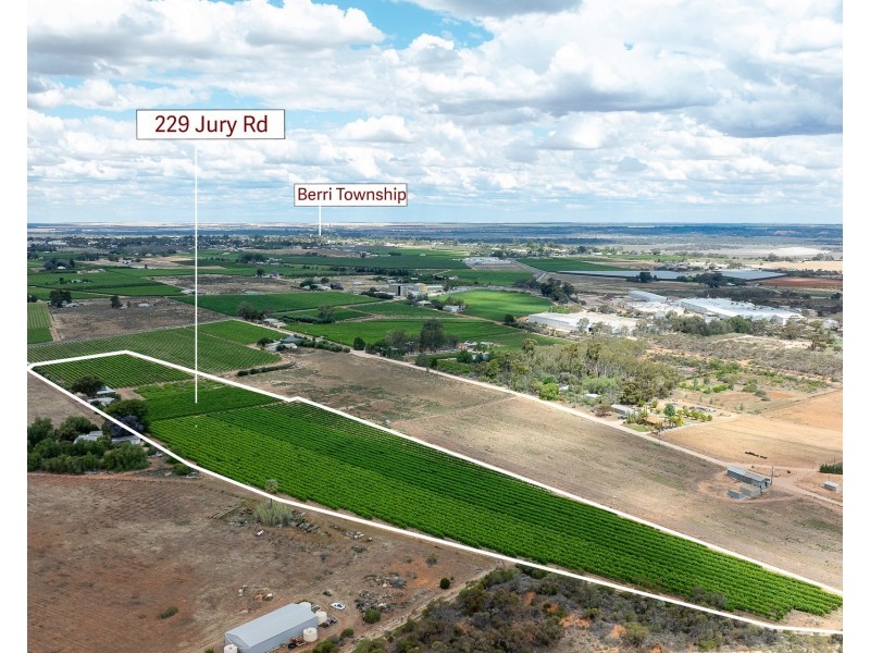 229 Jury Road, Glossop SA 5344