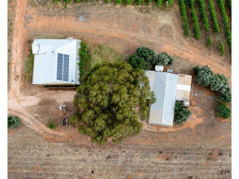 229 Jury Road, Glossop SA 5344