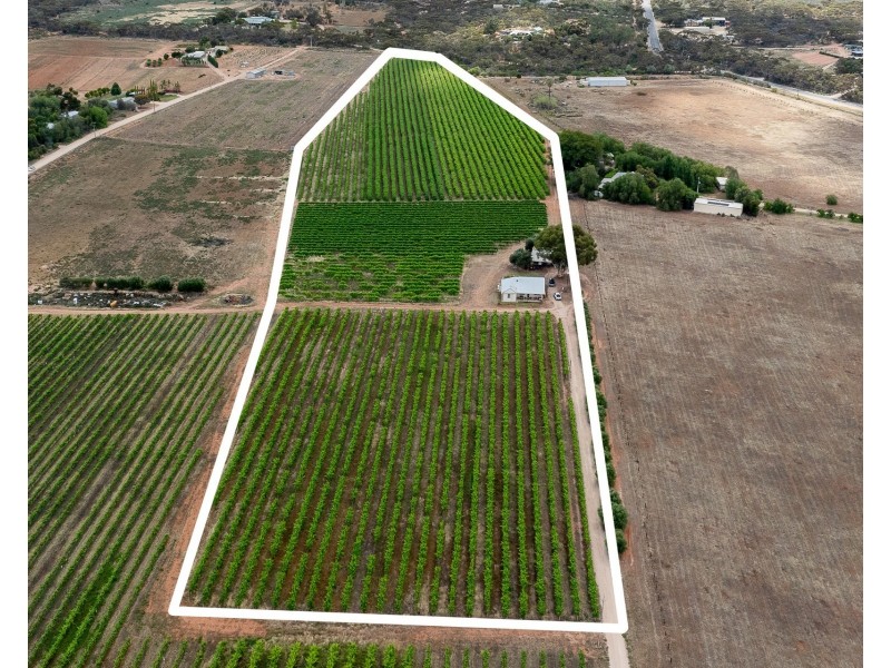 229 Jury Road, Glossop SA 5344