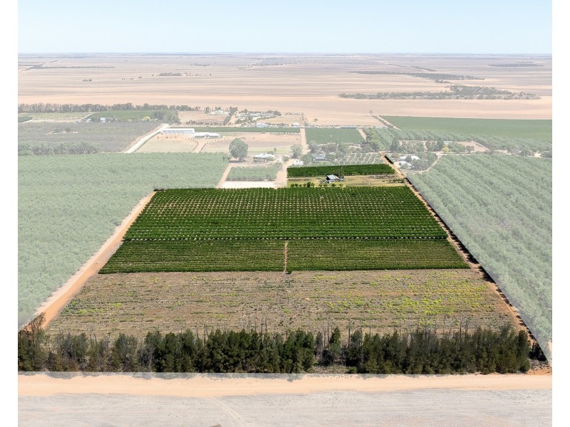 Lot 54 Newton Road, Loxton SA 5333