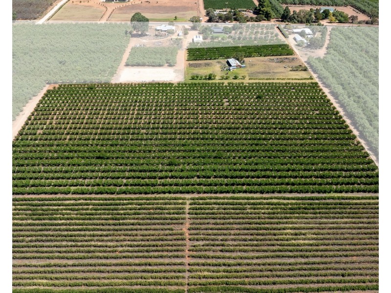 Lot 54 Newton Road, Loxton SA 5333