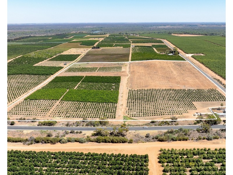 183 Quast Road, Loxton SA 5333