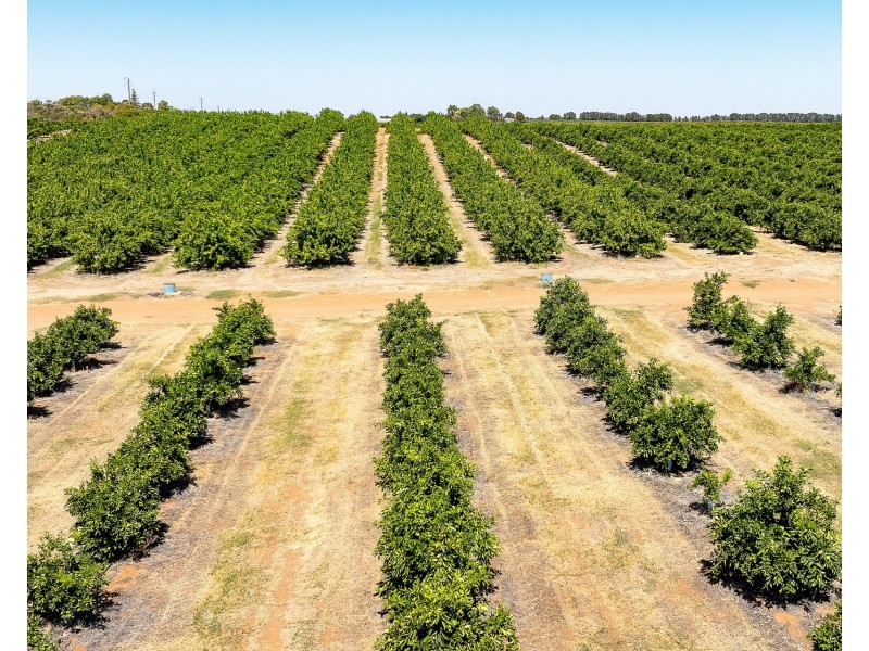 183 Quast Road, Loxton SA 5333