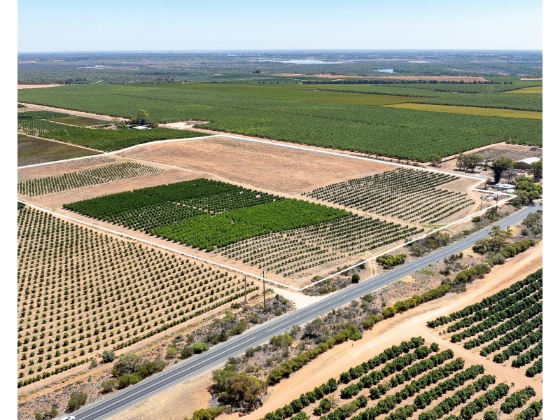 183 Quast Road, Loxton SA 5333