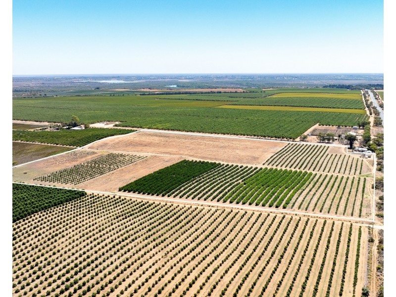 183 Quast Road, Loxton SA 5333