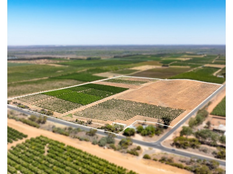 183 Quast Road, Loxton SA 5333