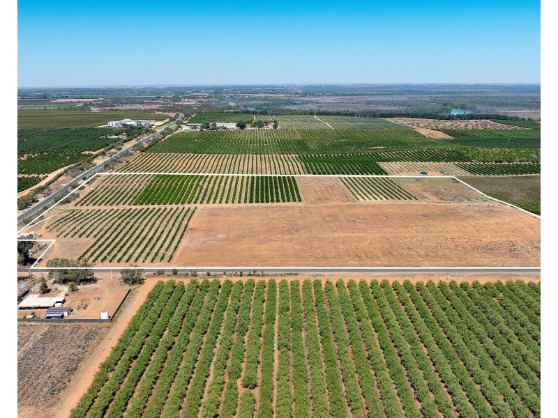 183 Quast Road, Loxton SA 5333