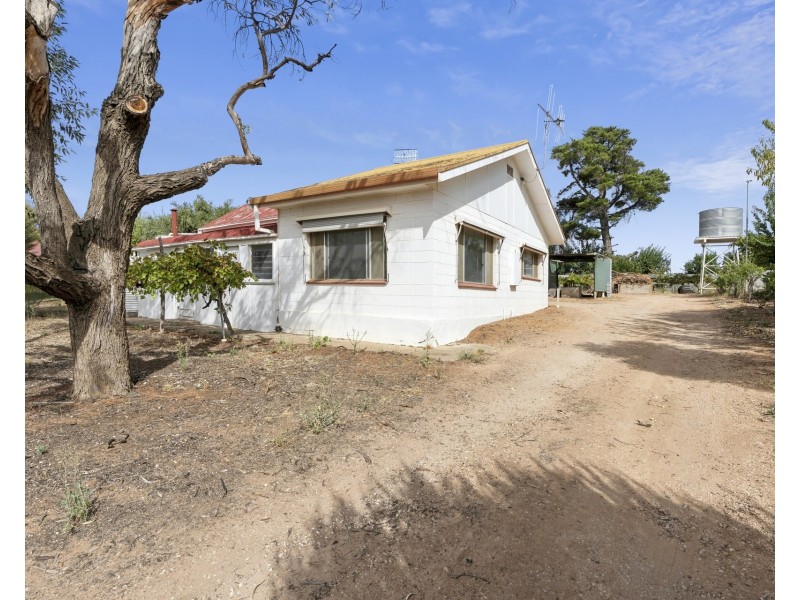 125 Cucumunga Street, Renmark SA 5341