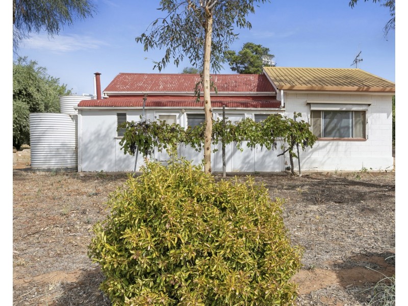 125 Cucumunga Street, Renmark SA 5341