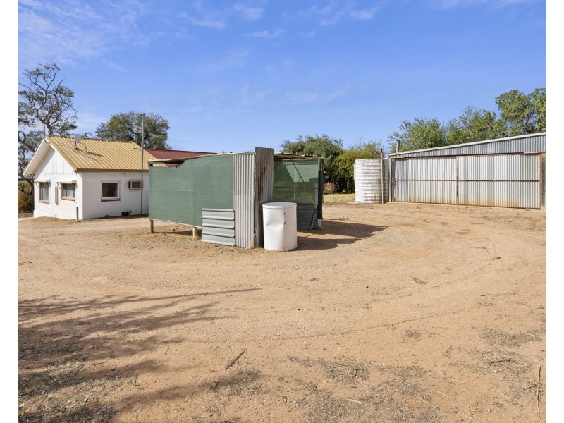 125 Cucumunga Street, Renmark SA 5341