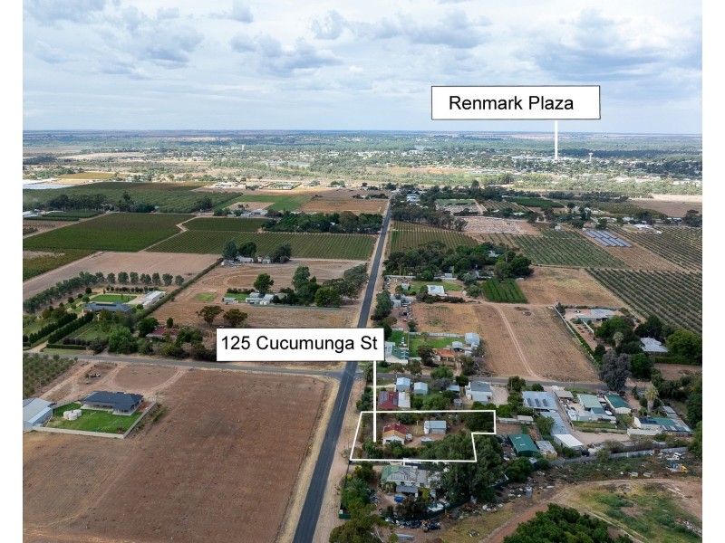 125 Cucumunga Street, Renmark SA 5341