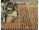 40 Casson Avenue, Loxton SA 5333