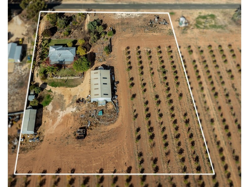 40 Casson Avenue, Loxton SA 5333