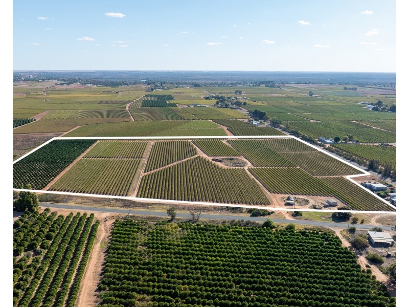 2  Balfour Ogilvy Avenue, Loxton SA 5333