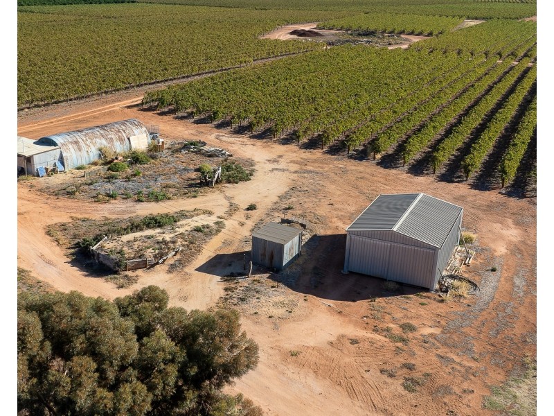 2  Balfour Ogilvy Avenue, Loxton SA 5333