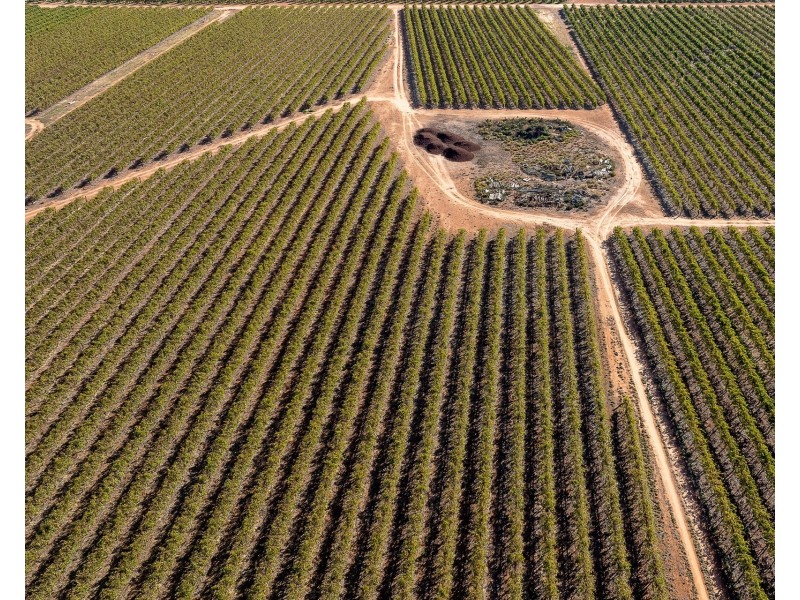 2  Balfour Ogilvy Avenue, Loxton SA 5333