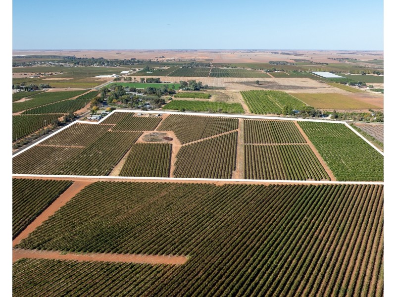 2  Balfour Ogilvy Avenue, Loxton SA 5333