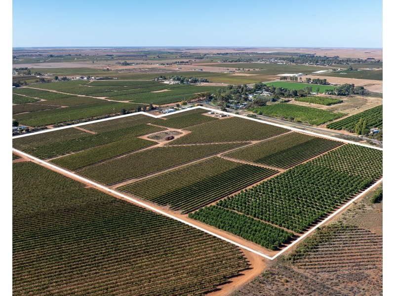 2  Balfour Ogilvy Avenue, Loxton SA 5333