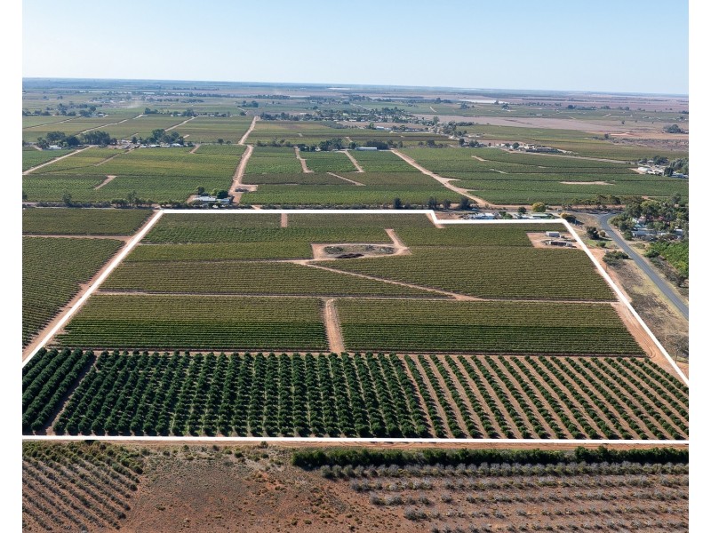 2  Balfour Ogilvy Avenue, Loxton SA 5333