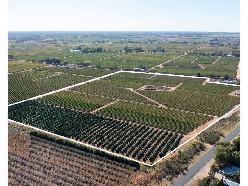 2  Balfour Ogilvy Avenue, Loxton SA 5333