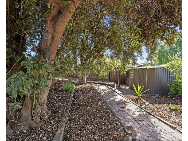 17 O’Malley Street, Berri SA 5343