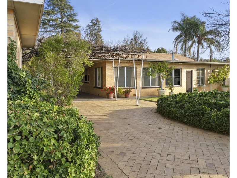 80 Briers Road, Loxton SA 5333