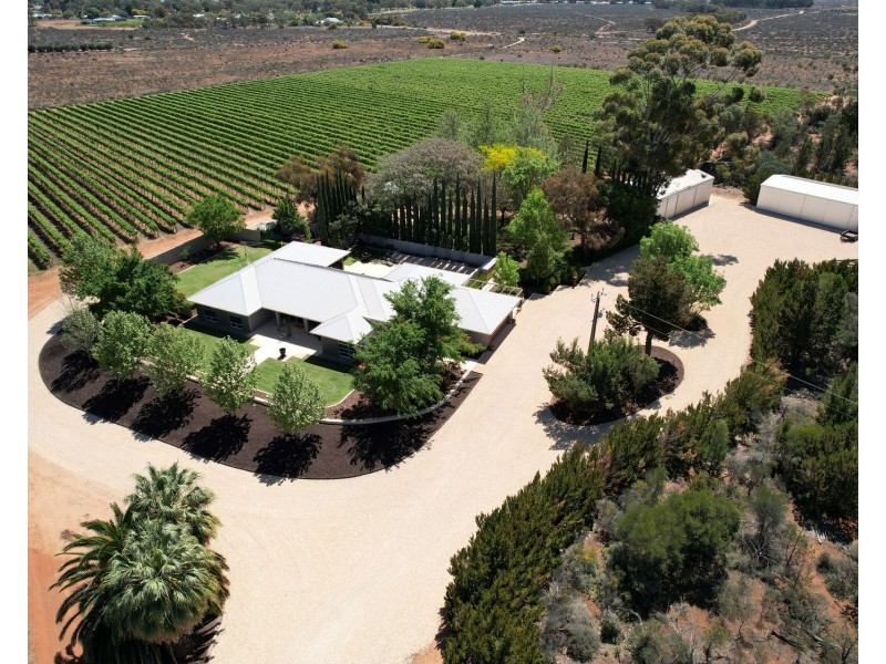17807 Sturt Highway, Barmera SA 5345