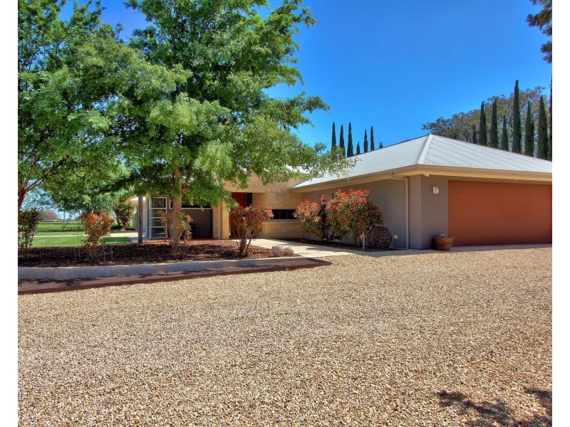 17807 Sturt Highway, Barmera SA 5345