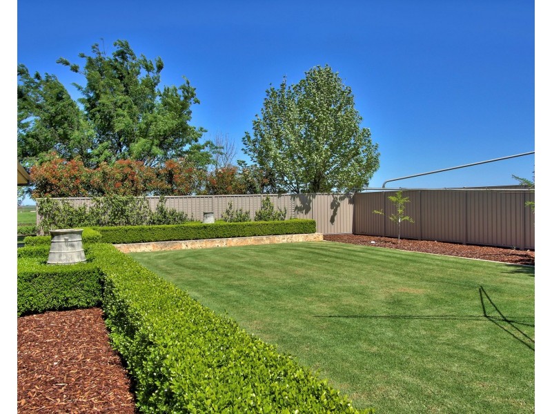 17807 Sturt Highway, Barmera SA 5345