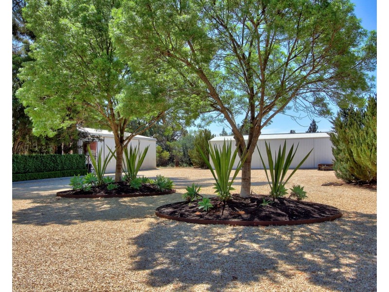 17807 Sturt Highway, Barmera SA 5345