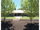 17807 Sturt Highway, Barmera SA 5345