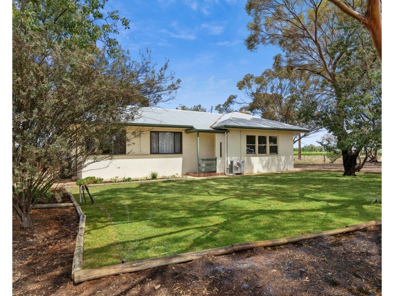 228 Fairweather Avenue, Loxton SA 5333