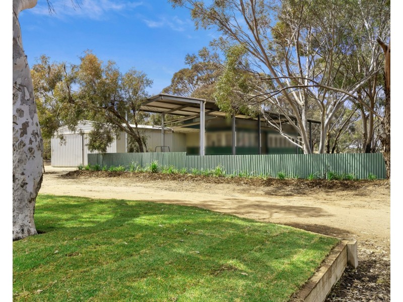 228 Fairweather Avenue, Loxton SA 5333